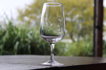 Empty Wine Glass