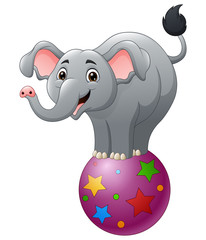 Cartoon circus elephant balancing on ball