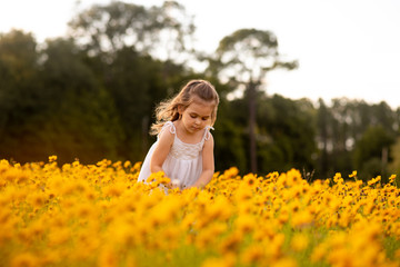 Fototapeta na wymiar Little toddler girl in a white dress picking flowers in a black eye Susan flower field. Child in a flower meadow at sunset with yellow flowers. 