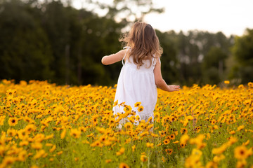 Naklejka na ściany i meble Little toddler girl in a white dress walking and picking flowers in a black eye Susan flower field. Child in a flower meadow at sunset with yellow flowers. 