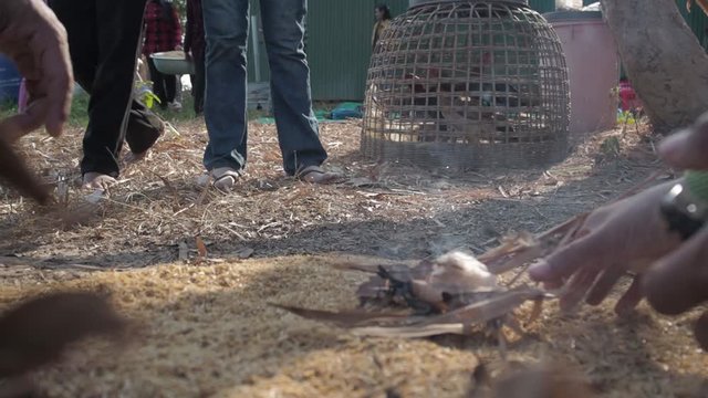 Cambodian farmers starting fire with dried leaves in remote Siem Reap region