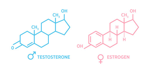 Sex hormones molecular formula. Vector