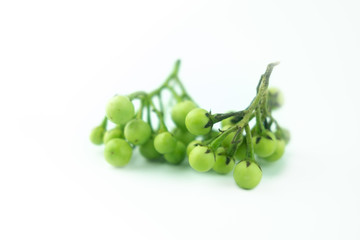 Green aubergine eggplant isolated on white background