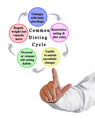Steps in usuccessful Dieting Cycle