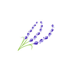 lavender floral aromatic logo vector icon illustration