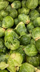 fresh brussels sprouts