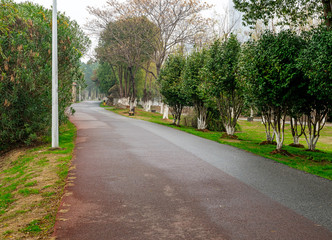 The road of City Park in China