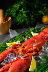 the cooked lobster on ice