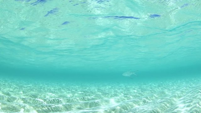 下地島の海