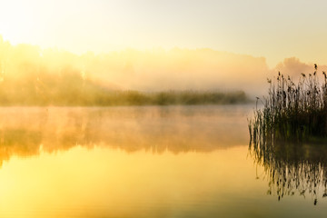 Fototapeta na wymiar Golden Foggy Morning over Ponds