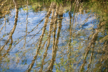 Wave and reflection on clean water surface at lake shore nature pattern texture ecology concept background