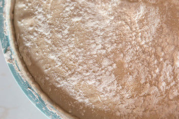 homemade leavened dough, fermented dough
