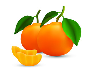 Realestic vector image of Orange fruit. Fresh oranges isolated on white background