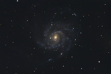 Obraz na płótnie Canvas The Pinwheel Galaxy Messier 101 in the constellation Ursa Major photographed with a Maksutov telescope from Mannheim in Germany