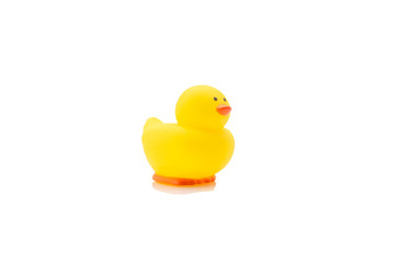 Yellow rubber duck, baby bath toy on white background. Education concept