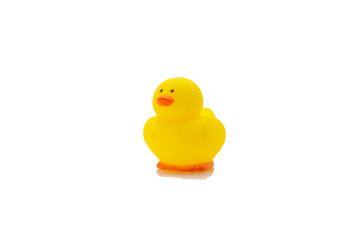 Yellow rubber duck, baby bath toy on white background. Education concept