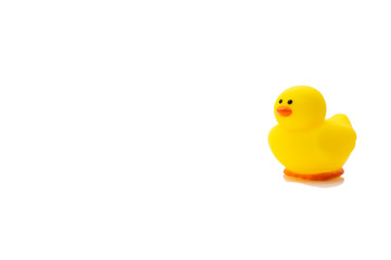 Yellow rubber duck, baby bath toy on white background. Education concept