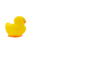 Yellow rubber duck, baby bath toy on white background. Education concept