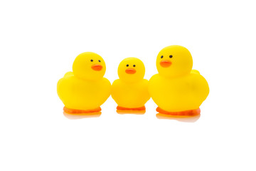 Yellow rubber duck, baby bath toy on white background. Education concept