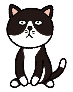 491 最適な ハチワレ猫 画像 ストック写真 ベクター Adobe Stock