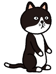 二足歩行ハチワレ猫