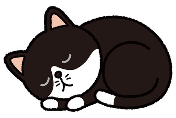 いねむりハチワレ猫