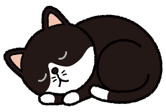 454 最適な ハチワレ猫 画像 ストック写真 ベクター Adobe Stock