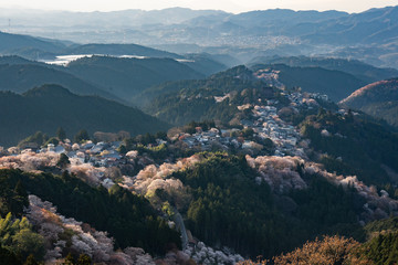 吉野の夕景