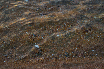 Image of a sandy seabed.