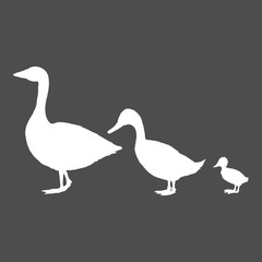 Silhouette of Duck, Goose and Duckling.