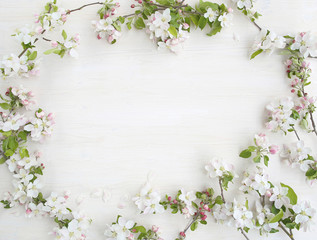 Frame of apple flowers blossom on white wooden background. Spring concept of blooming apple branches with copy space, top view..