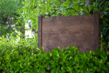 Big blank wooden billboard on green backround