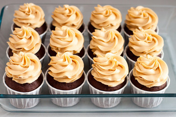 Chocolate cupcakes with peanut butter cream cheese frosting on glass tray. Plain grey background
