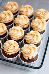 Chocolate cupcakes with peanut butter cream cheese frosting on glass tray. Plain grey background