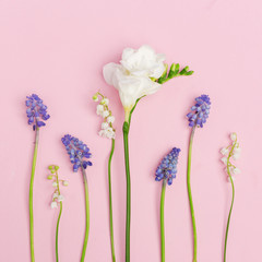 Obraz premium Delicate decorative flowers on a pink background.