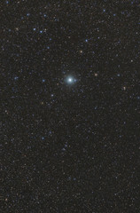 Procyon star in the constellation Canis Minor in the dark sky full of stars