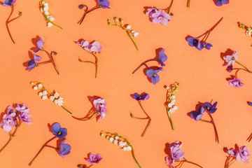 texture pattern background of multicolored wildflowers. Design blank