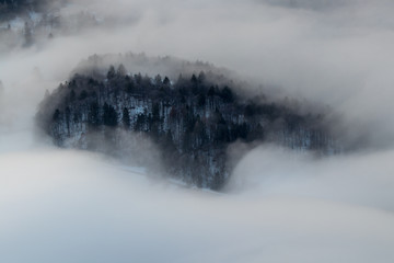 Small hill looking through morning mist, near Bohinj lake