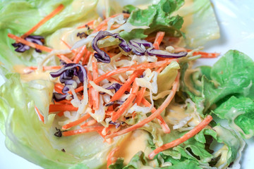 Close up colorful vegetable salad.