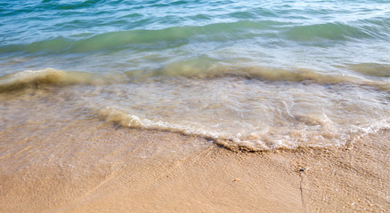 Sandy coast near the sea