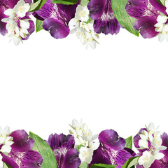 Beautiful floral pattern of Alstroemeria and Jasmine. Isolated