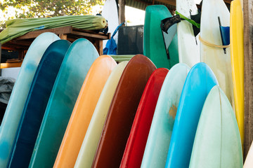 Set of colorful surfboard for rent on the beach. Multicolored blue, red, white surf boards different sizes and colors surfing boards on stand, surfboards rental place
