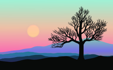 silhouette of tree in sunset