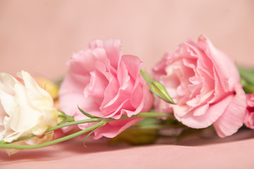 Bouquet of eustoma flowers on a delicate pink background
