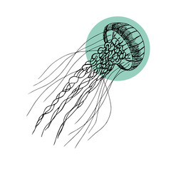 Single hand drawn element of a jellyfish. Doodle hand-draw illustrations in vector. Design for background, packaging, weddings, fabrics, textiles, wallpaper, website, postcards.