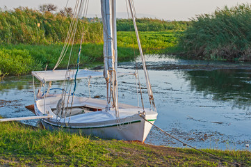 Traditional egyptian felluca boat moored on river bank