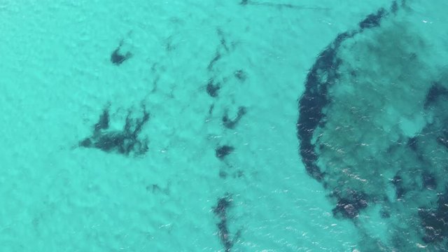 AERIAL DRON TOP DOWN STILL SHOT OF TURQUOISE TRANSPARENT MEDITERRANEAN WATER WITH CORAL AND ROCKS