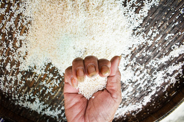 Close up Thai women holding jasmine rice in their hands. Health food products.
 
