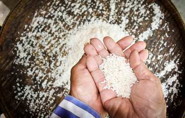 Close up Thai women holding jasmine rice in their hands. Health food products.
 
