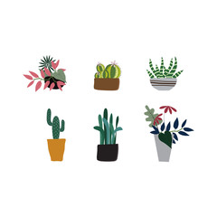 Set of decorative potted plants.
